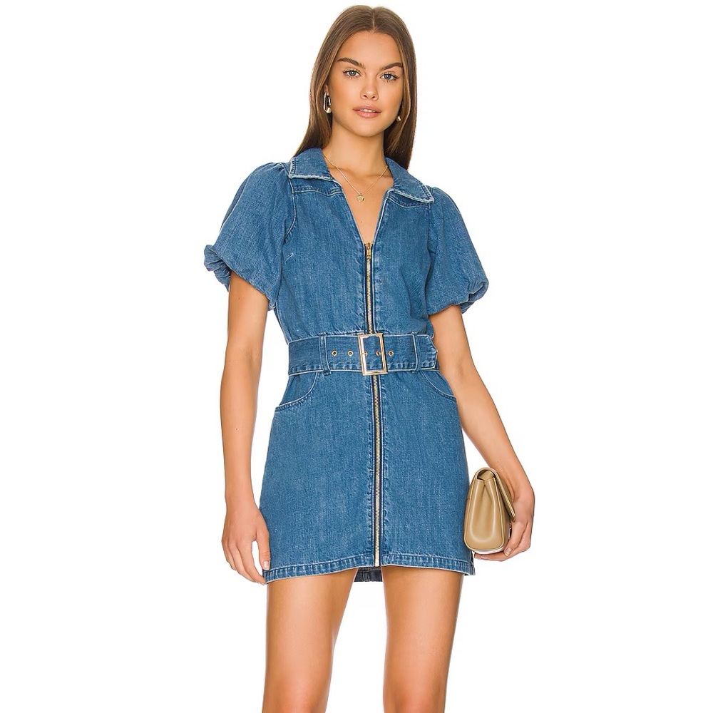 Show Me Your Mumu Oxford Mini Dress